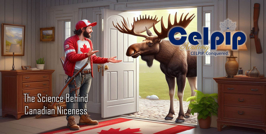 Why Canadians Are So Polite (And How to Not Accidentally Insult Someone)