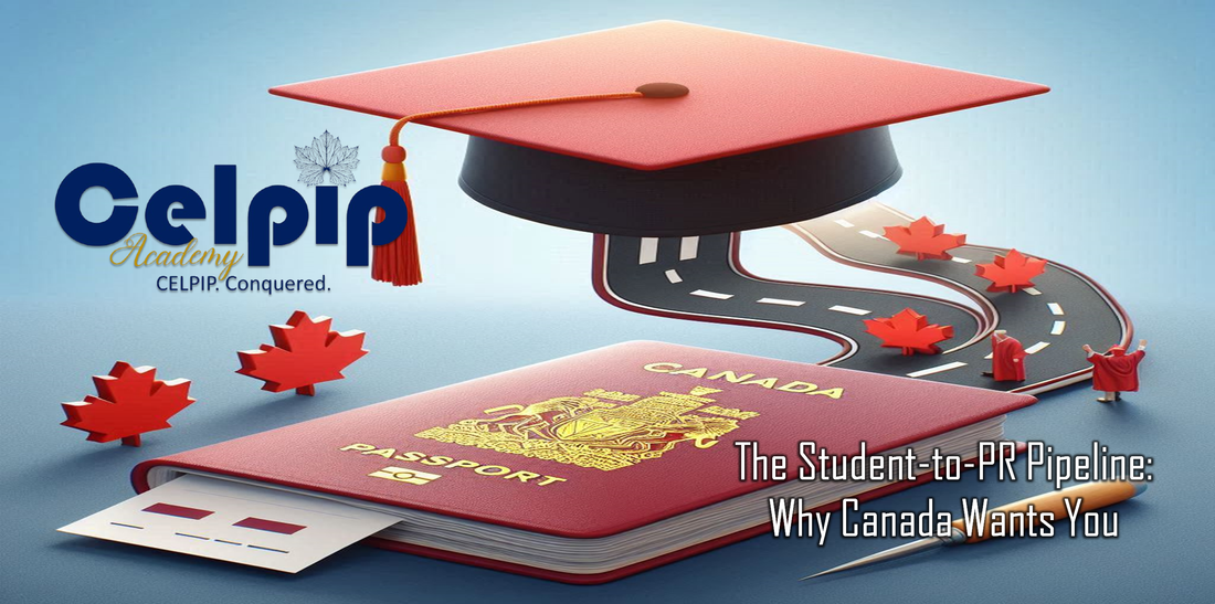 From ‘Student Visa’ to ‘Permanent Resident’—Your Step-by-Step Roadmap